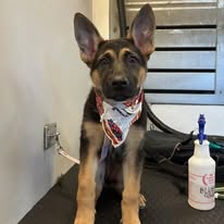 service campaign image