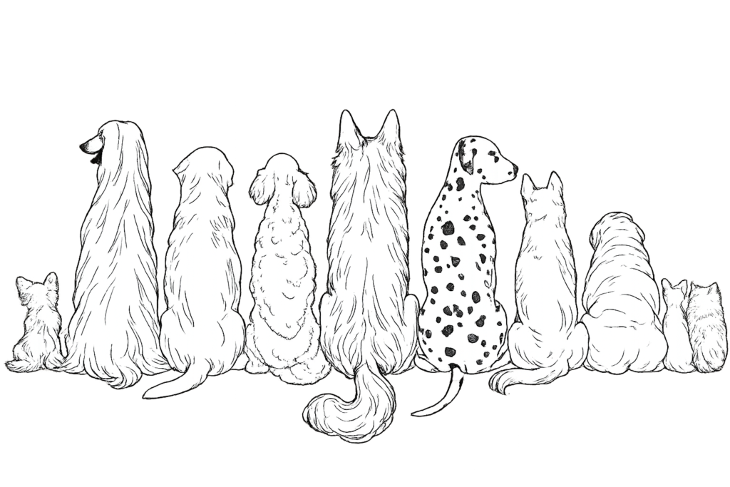 Sketch of ten dogs sitting from behind
