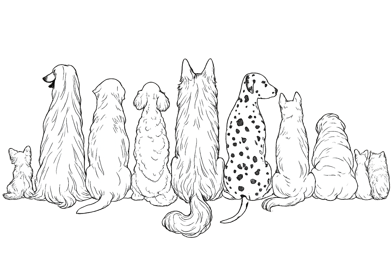 Community Bark Dog Wash and Groom