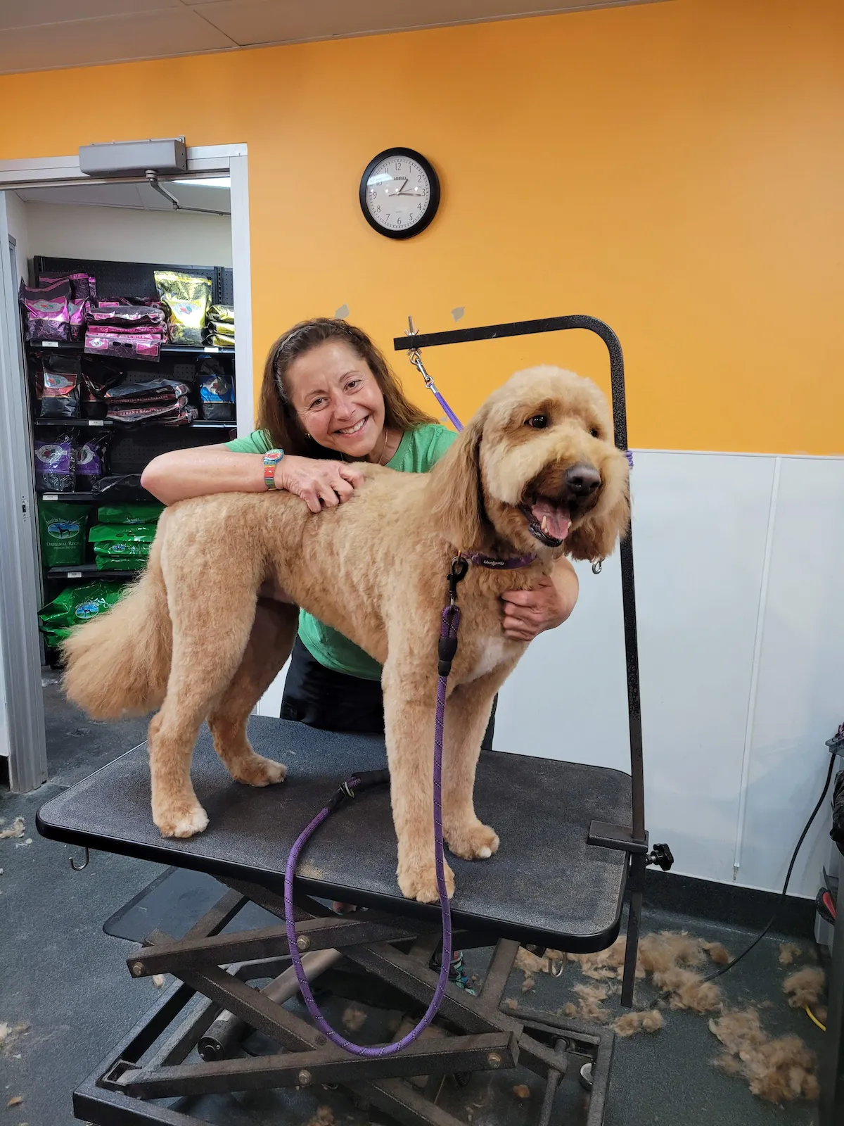 Mary grooming a big brown dog