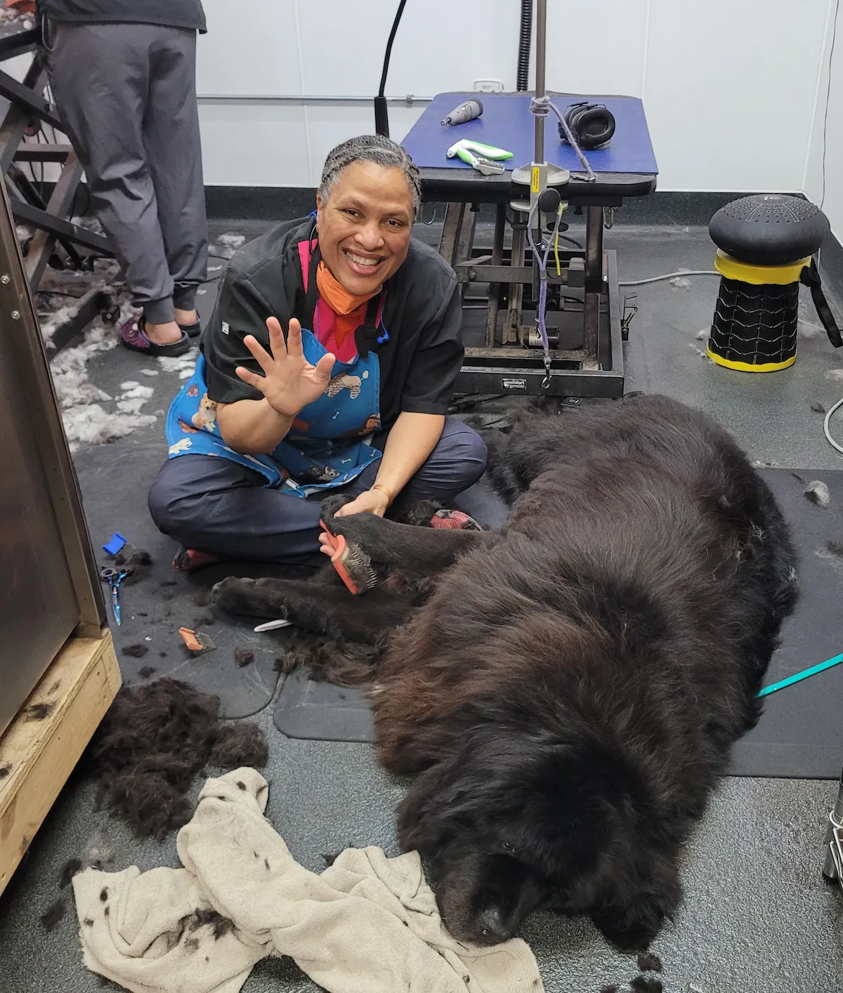 Rebecca grooming a big black dog